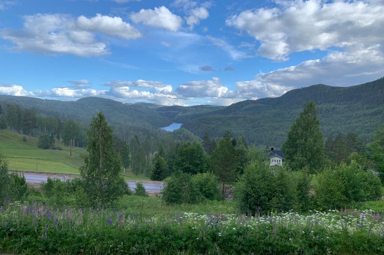 Utsiktens Turistgard Järkvitsle Esterno foto