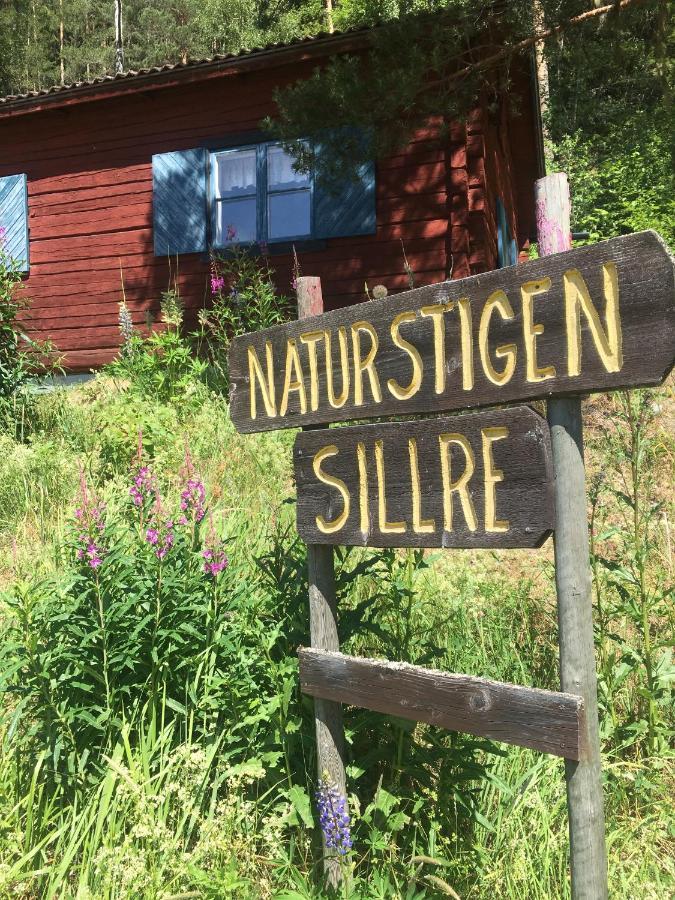 Utsiktens Turistgard Järkvitsle Esterno foto